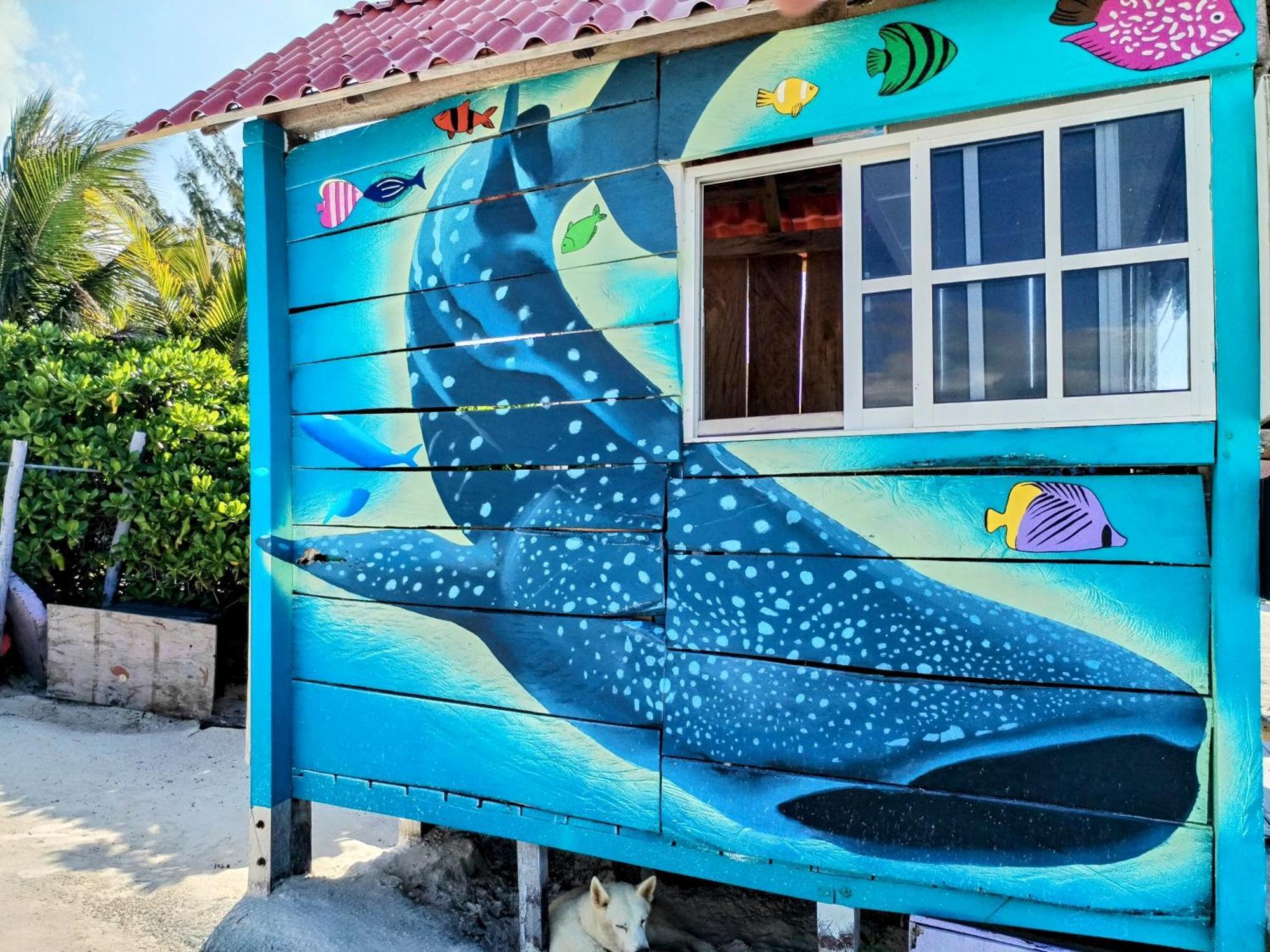 Arte Sano Hotel Only Adults - Near Beach Isla Holbox Exterior photo